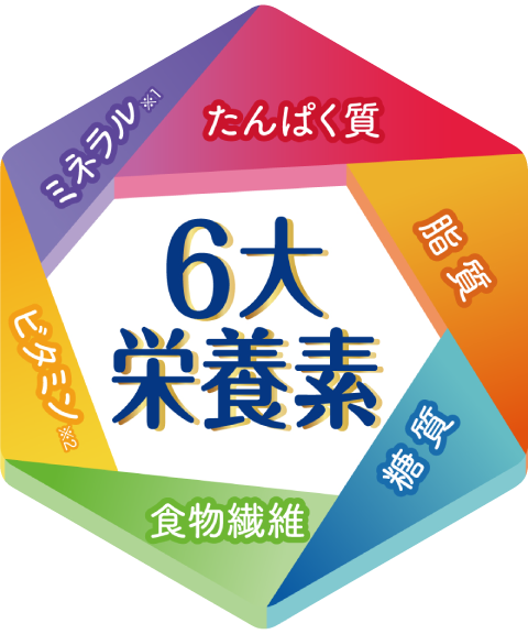 6��h�{�f�i����ς����E�����E�����E�H���@�ہE�r�^�~���E�~�l�����j�� �~�l����13��A�r�^�~��13��