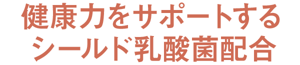 N͂T|[gV[h_۔z