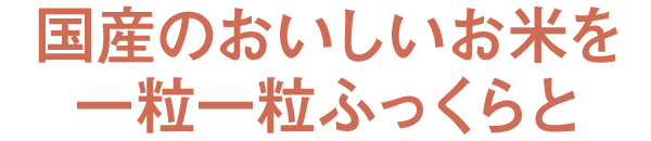 ŶĂꗱꗱӂ