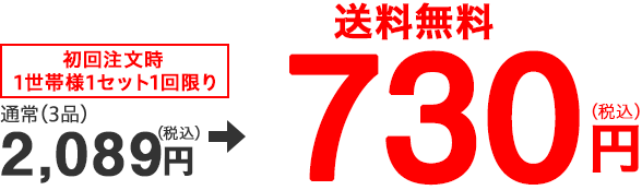 񒍕1Zbg ʏ(3ij2,039~730~