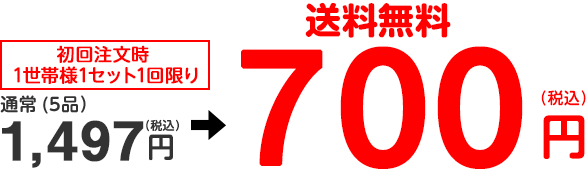 񒍕1Zbg ʏ(5ij1,497~700~