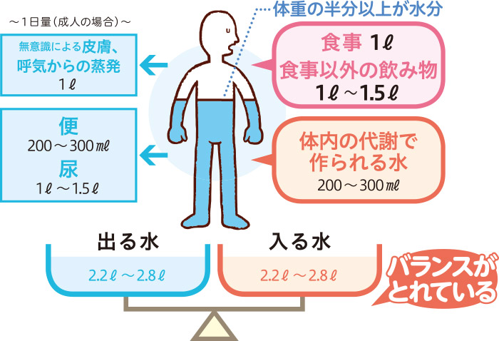 水の出入り