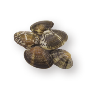 適切なたんぱく質の制限 腎臓病 病気について知る 日々の食事選びのサポートサイト ヘルシーネットワークナビ