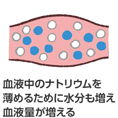 血液中のナトリウムを薄めるために水分も増え血液量が増える