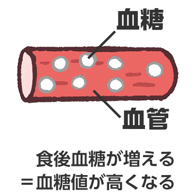 食後血糖が増える＝血糖値が高くなる