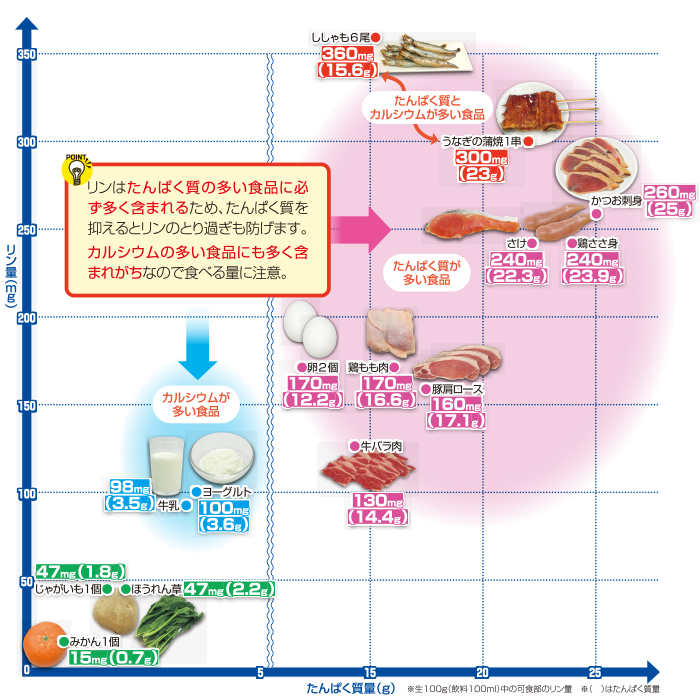食品中のリン量・たんぱく質量と食事のポイント
