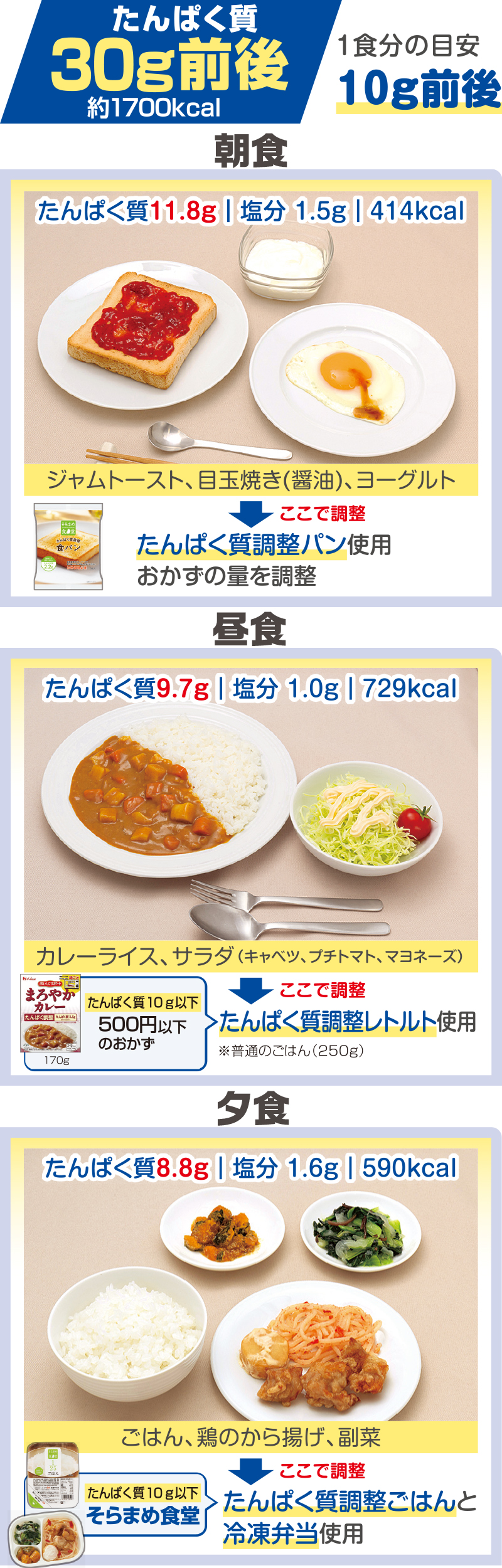 たんぱく質30g前後　1食分の目安10g前後