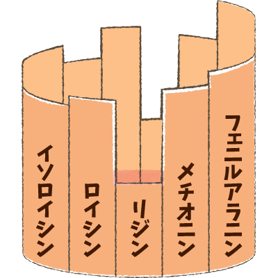 適切なたんぱく質の制限 - 腎臓病について | 日々の食事選びのサポートサイト ヘルシーネットワークナビ