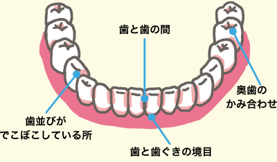 お子さまの歯をみがくときのポイント