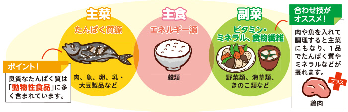 主食・主菜・副菜をバランス良く!
