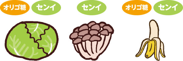 野菜類・きのこ類・豆類・果物