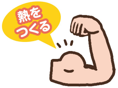 筋肉を作る