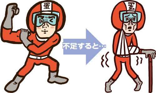 たんぱく質が不足すると…