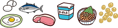 肉、魚、牛乳、乳製品、卵、大豆、大豆製品などにはたんぱく質が多く含まれる