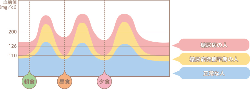 糖尿病の食事療法は血糖値を上昇させないことが重要