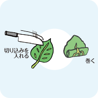 葉ものは切り込みを入れて巻く