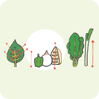繊維を断つ