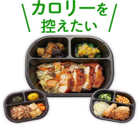 送料無料】塩分2g以下！冷凍弁当お試しセット ｜ 介護食品・栄養調整